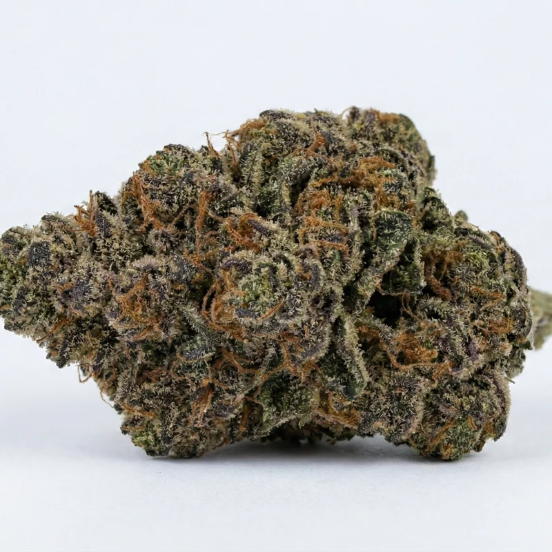 Blockberry (Superboof)