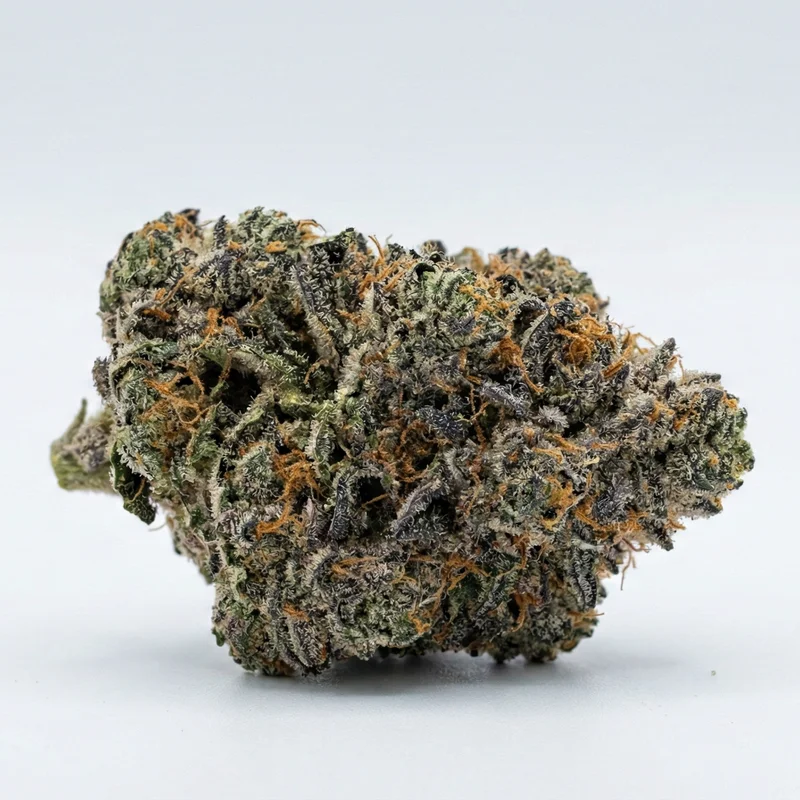 Lemon Cherry Sherbert